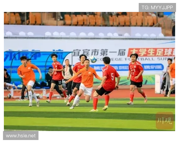 七级联赛体育文化（第七级别联赛）sports